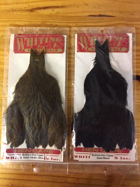 Brahma Hen Capes