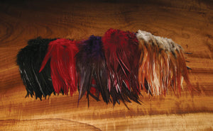 Strung Saddle Hackle, Wooly Bugger