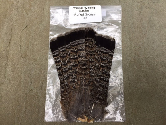 Ruffed Grouse Tail