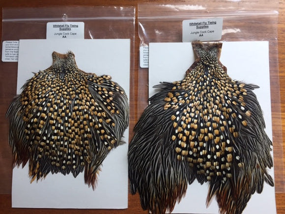 Jungle Cock Cape AA