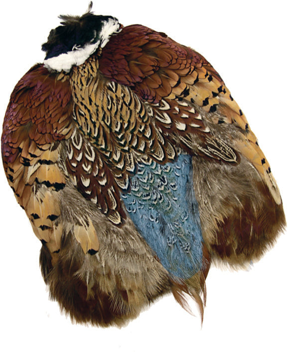 Pheasant, Ringneck Skin