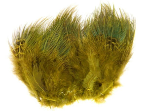 Pheasant, Ringneck Rump Hackle