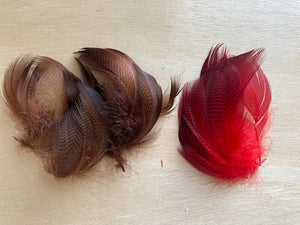 Gadwall Flank Feathers