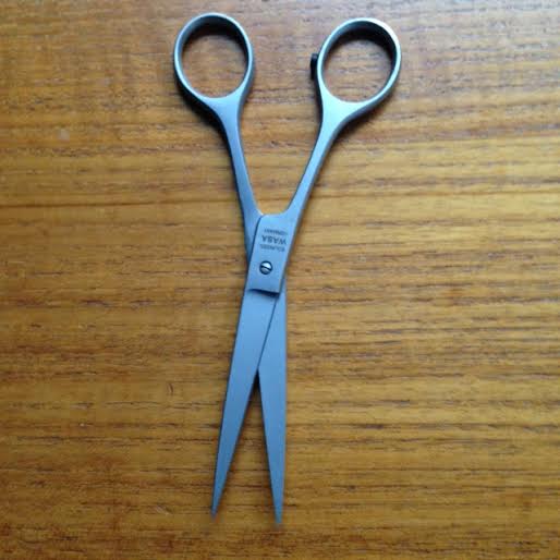 Scissors, Solingen German 5 1/2