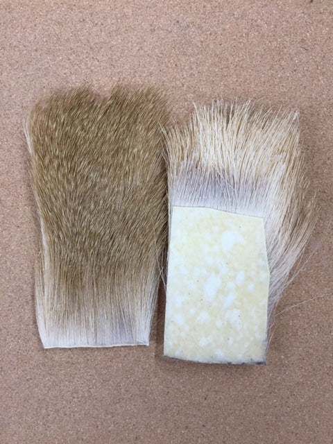 Whitetail Deer Body Hair - Long Coarse (for spinning) - Bleached