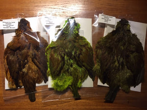 Quail, Select Dyed