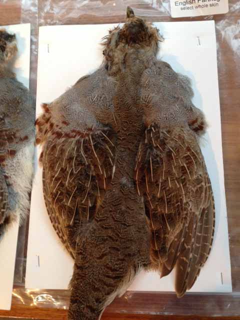 Partridge, Hungarian Skin Premium