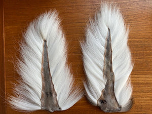 Bucktail Top Grade