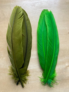 Turkey Feathers (Veniard)