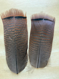 Turkey Brown Mottled Apron Feathers