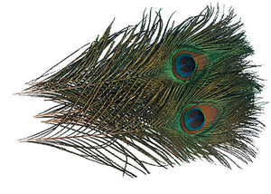 Peacock Eye Sticks