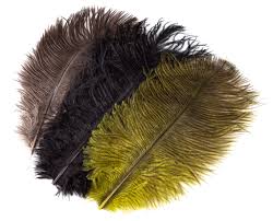 Ostrich Mini Plumes