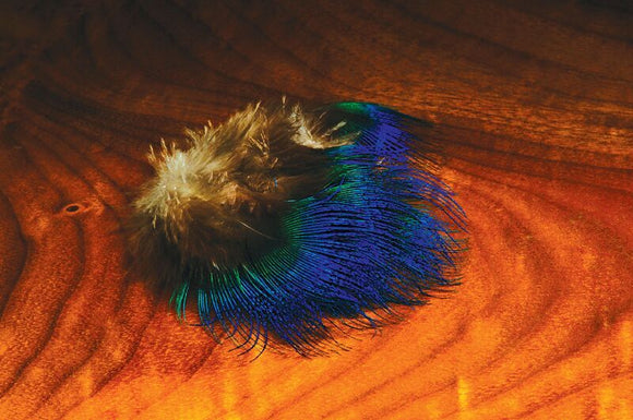 Peacock Neck Feathers - Indian Blue