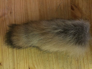 Coyote Tail