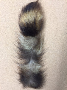 Raccoon Tail