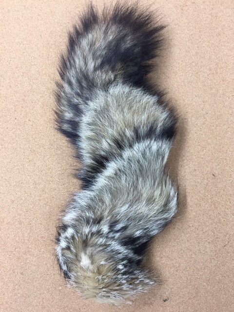 Fox, Kit - Tail