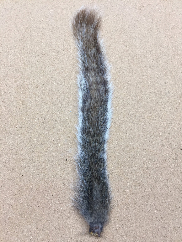 Squirrel Tail, Gray - Bleached