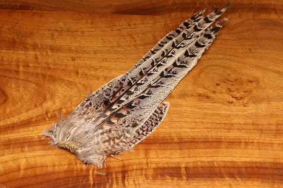 Pheasant, Ringneck Hen Tail Clumps