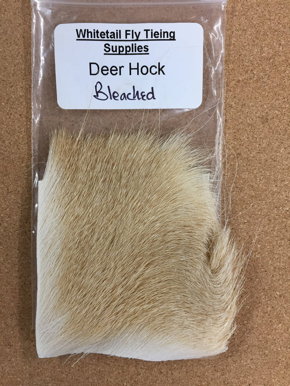 Whitetail Deer Hock - Bleached