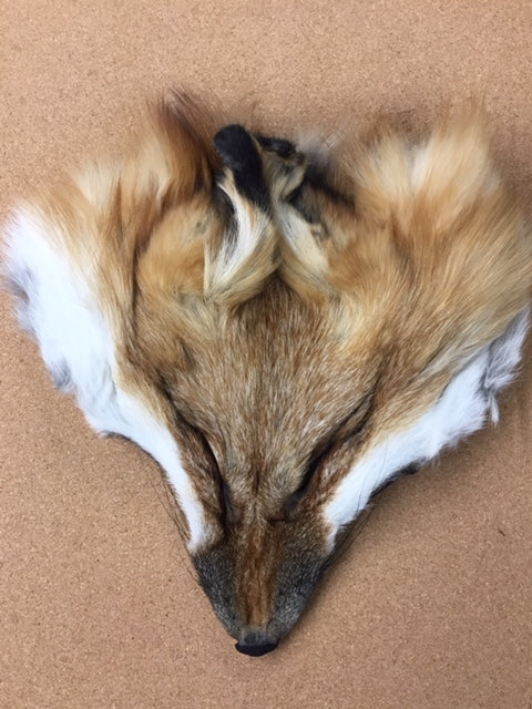 Fox, Red - Face Mask