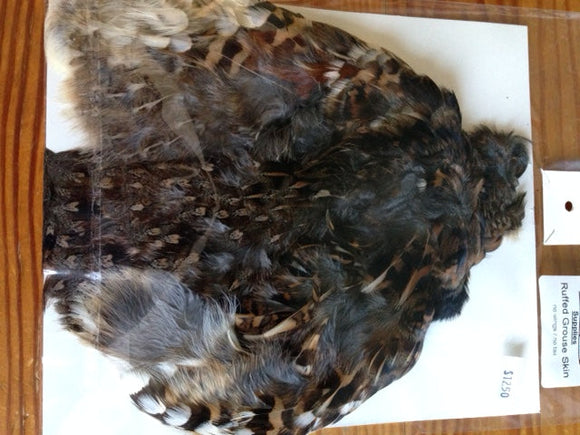 Ruffed Grouse Skin - no wings or tail