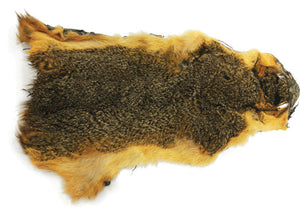 Squirrel, Red Fox Skin