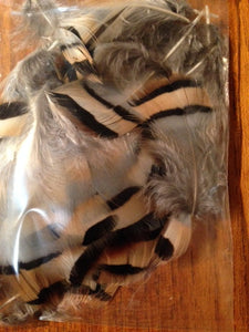 Chukar Marginal Body Feathers