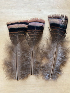 Turkey Marabou, Large - Natural